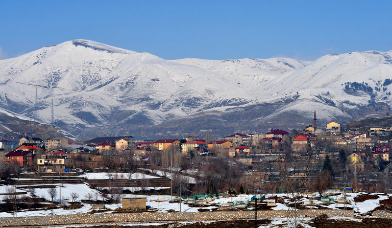 Bedlîs (Bitlis)
