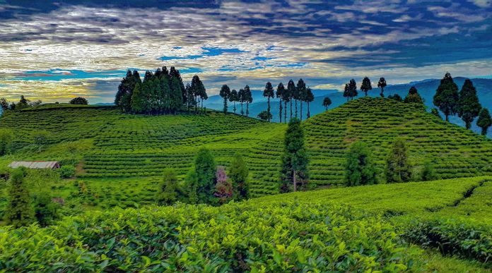 Ilam