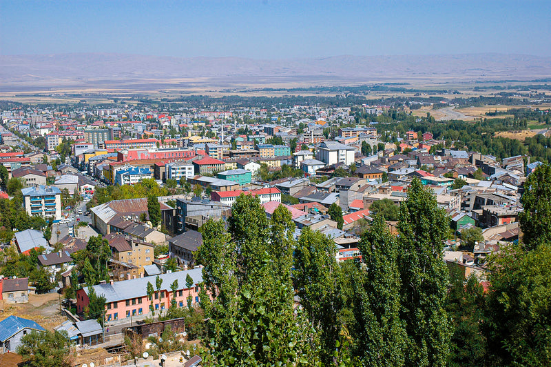 Mûş (Muş)
